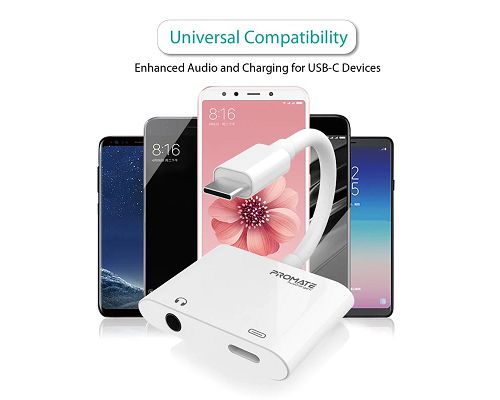 Adaptador PROMATE AUXCharge-C USB-C a USB-C Jack 3.5 mm