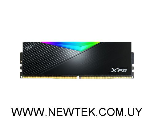 Memoria Ram Adata XPG Lancer RGB 32gb DDR5 6000MHz Cl30 U-dimm Negro