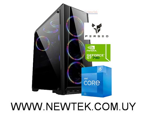 Equipo PC Intel Core I5-12400 Memoria 8GB Disco SSD 500GB GT1030 2GB GAMING