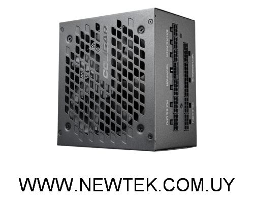 Fuente de Poder Cougar Gex X2 1000W 80 Plus Gold Atx 3.0 Modular