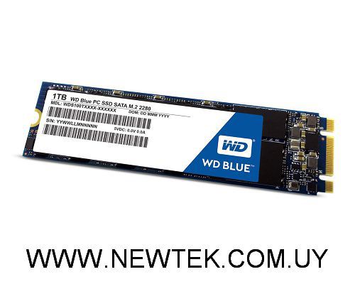 Disco Duro Estado Solido M.2 2280 Western Digital BLUE 3D WDS200T2B0B SSD 2TB