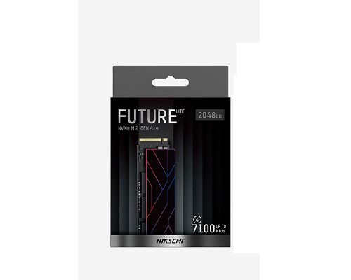 Disco Duro Estado Solido M.2 Hiksemi HS-SSD-FUTURE LITE 1TB