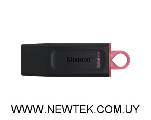 PenDrive USB Kingston Data Traveler Exodia 256 GB USB 3.2 Gen 1