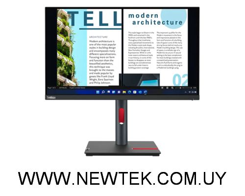 Monitor Lenovo Thinkvision P24H-30 23,8" QHD HDMI DP Pivotable RJ45