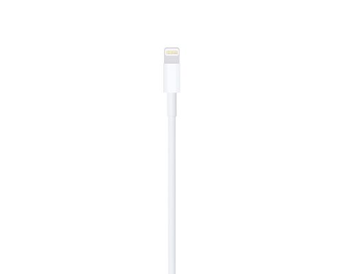 Apple Cable Lightning a USB 2 Metros MD819AM/A