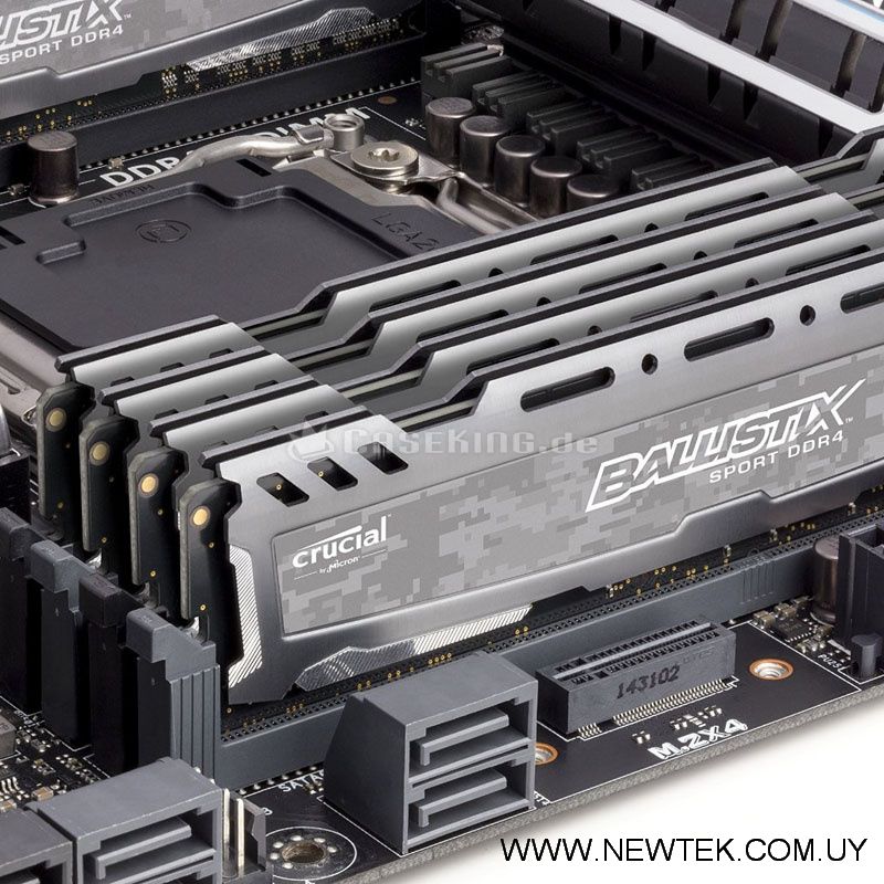 Memoria Crucial Ballistix Sport LT BLS16G4D30BESB 16GB DDR4 3000mt/s Gray GAMING