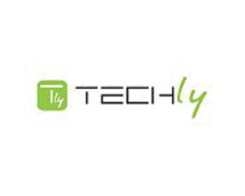 TECHLY