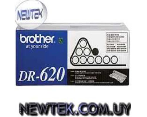 Tambor Unidad de Imagen Brother DR-620 Original HL-5340D HL-5370DW DCP-8085DN